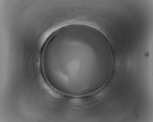 X0000110991511200906191415