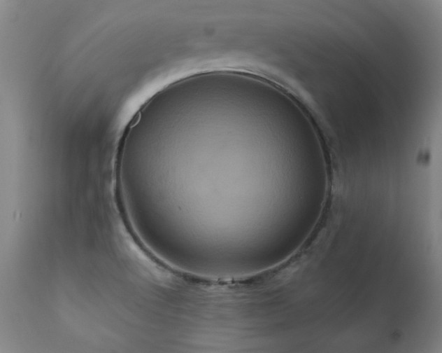 X0000110991512200906191415