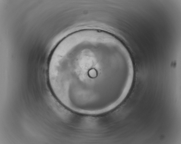 X0000110991514200906191415