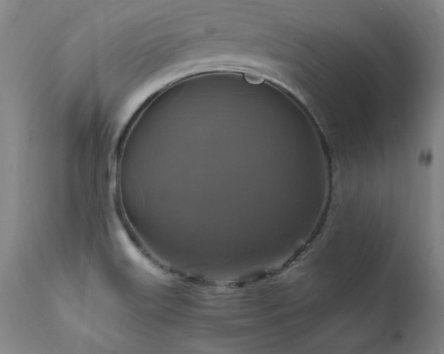X0000110991515200906191415