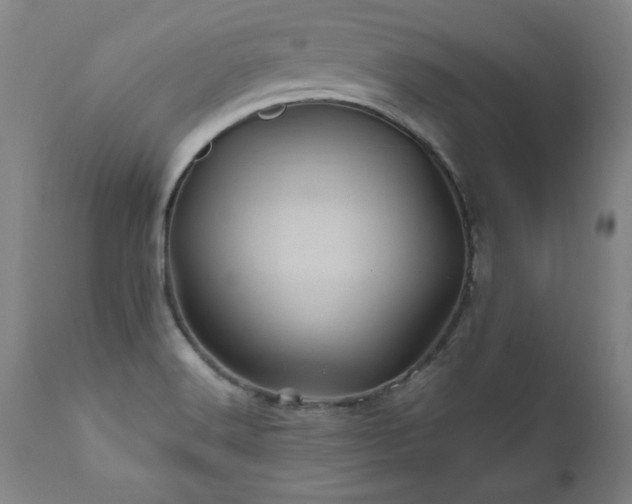 X0000110991516200906191415