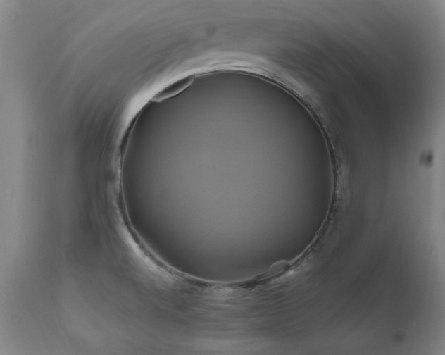 X0000110991520200906191415