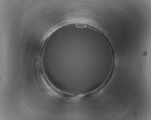 X0000110991521200906191415