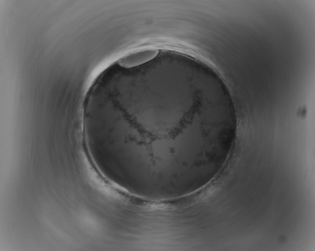 X0000110991522200906191415