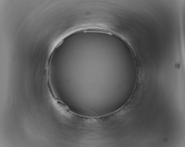 X0000110991524200906191415