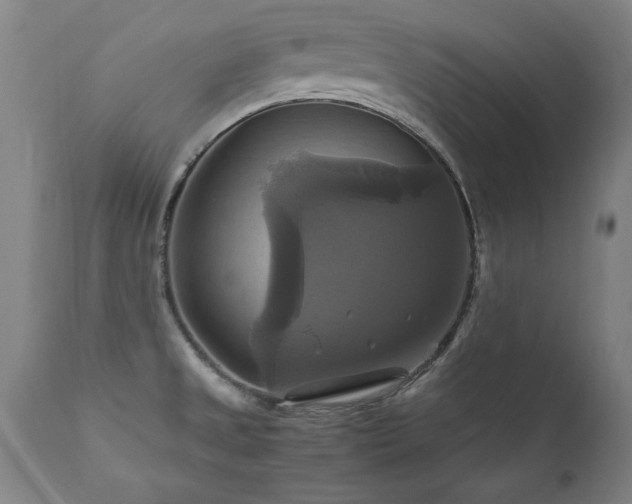 X0000110991525200906191415
