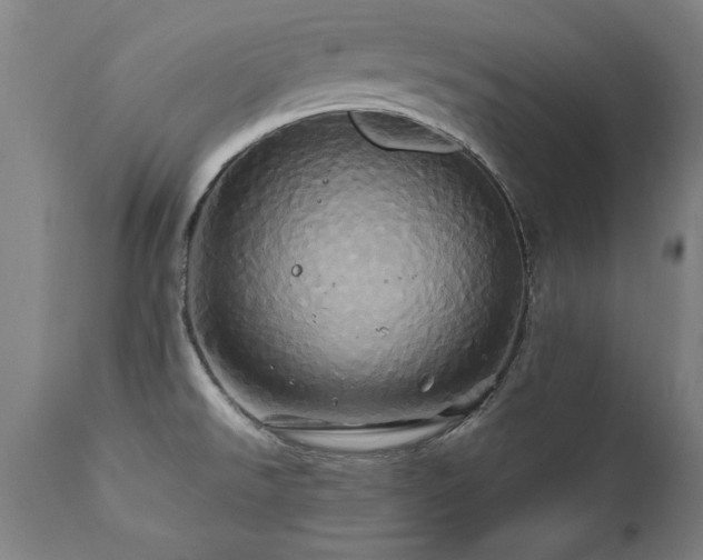 X0000110991526200906191415