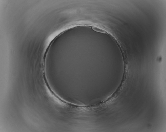 X0000110991527200906191415