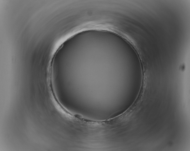 X0000110991528200906191415