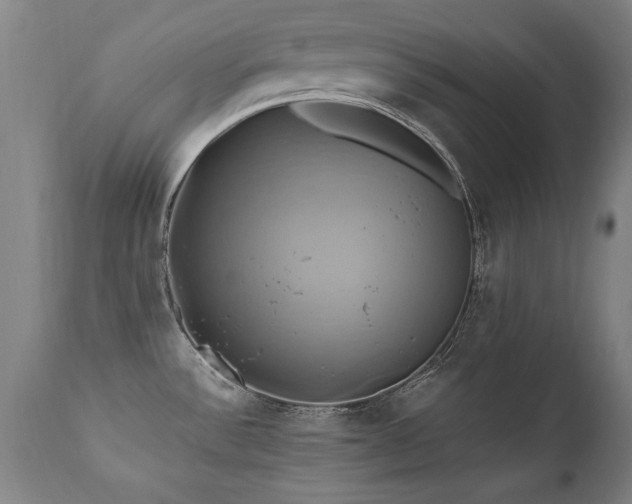X0000110991532200906191415