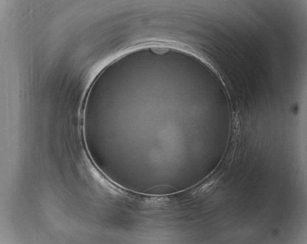X0000110991535200906191415