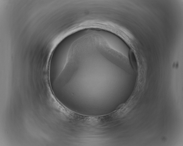 X0000110991536200906191415