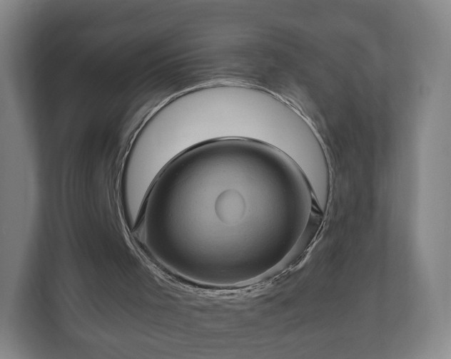 X0000110990001200906261459