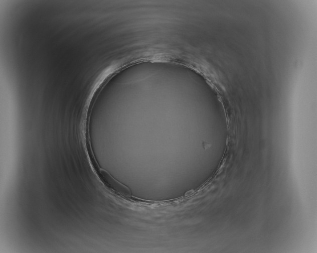 X0000110990003200906261459