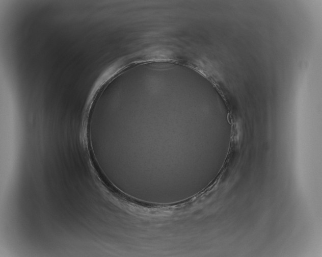 X0000110990004200906261459