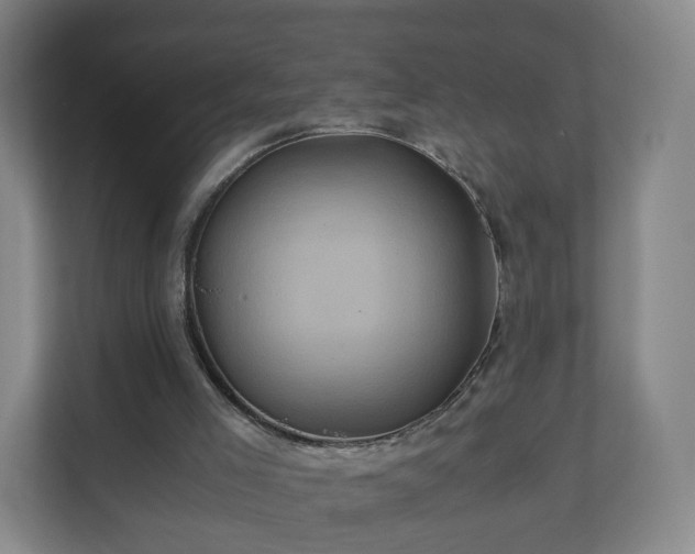 X0000110990005200906261459