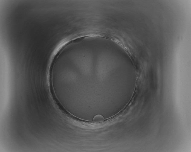 X0000110990006200906261459