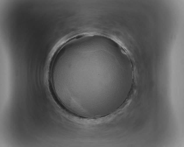 X0000110990007200906261459