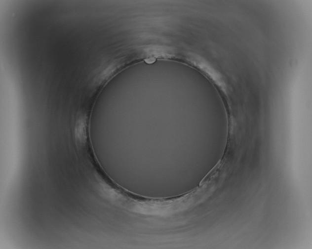 X0000110990009200906261459