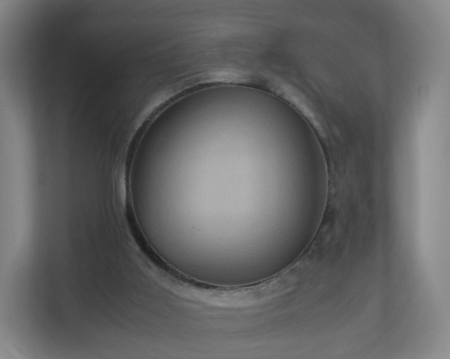 X0000110990011200906261459