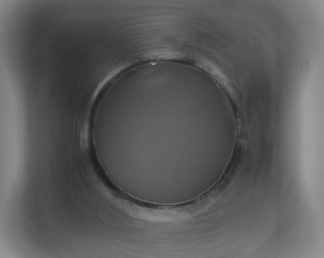 X0000110990012200906261459