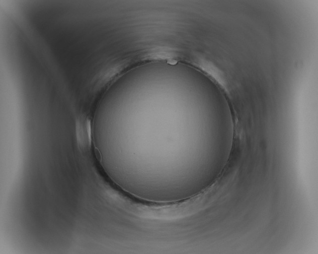 X0000110990013200906261459