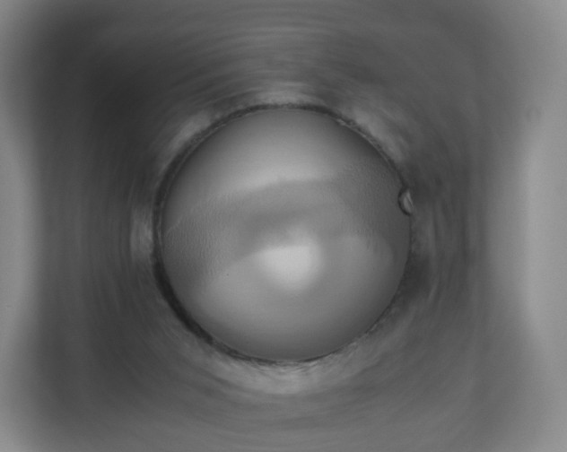 X0000110990015200906261459