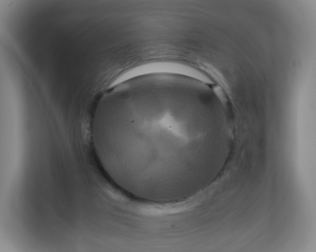 X0000110990017200906261459