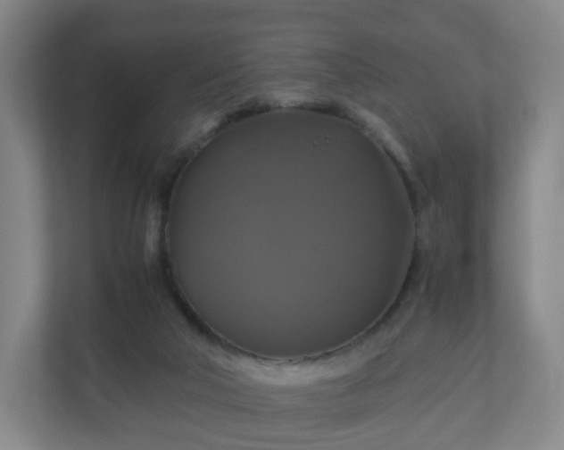X0000110990018200906261459