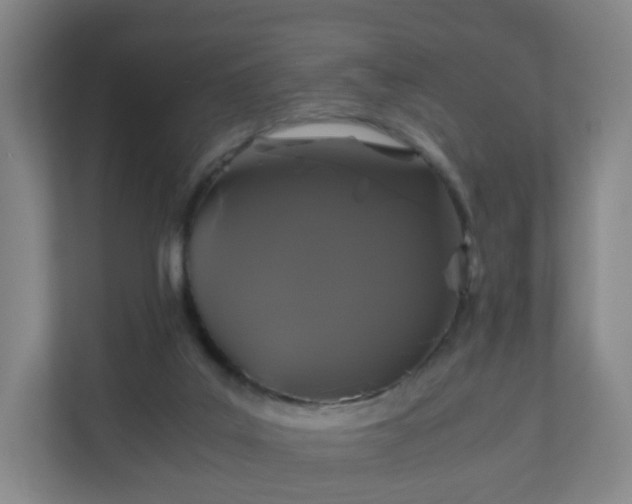 X0000110990019200906261459