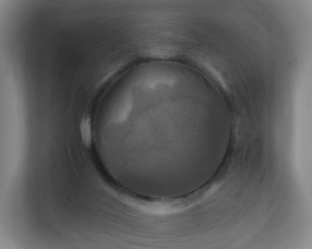 X0000110990020200906261459