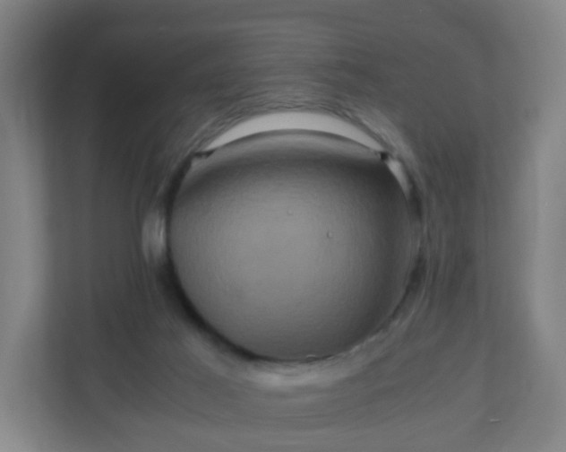 X0000110990021200906261459