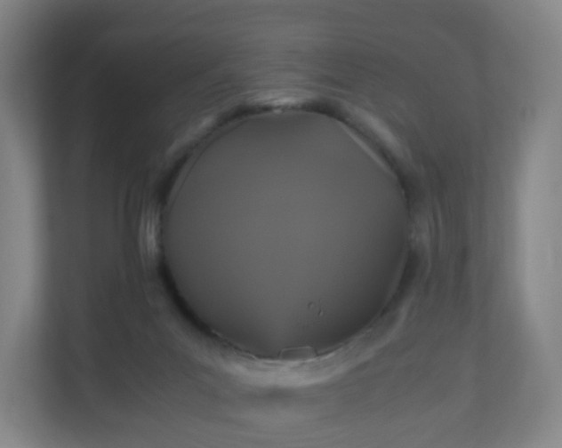 X0000110990023200906261458
