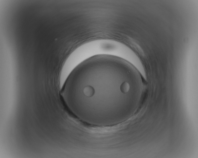 X0000110990025200906261458