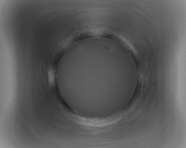 X0000110990026200906261458
