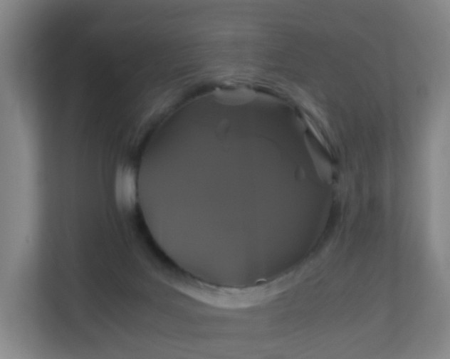 X0000110990027200906261458
