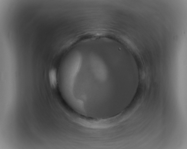 X0000110990028200906261458