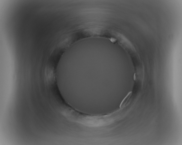 X0000110990029200906261458