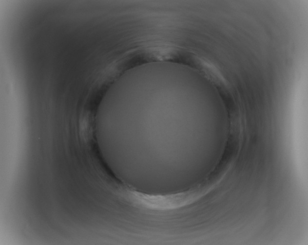 X0000110990030200906261458