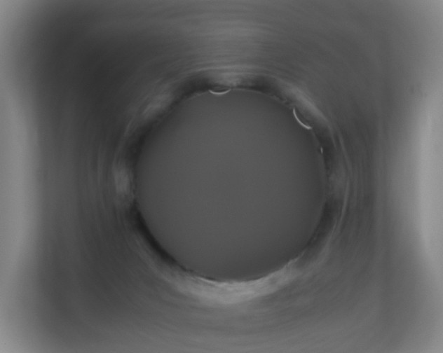X0000110990031200906261458