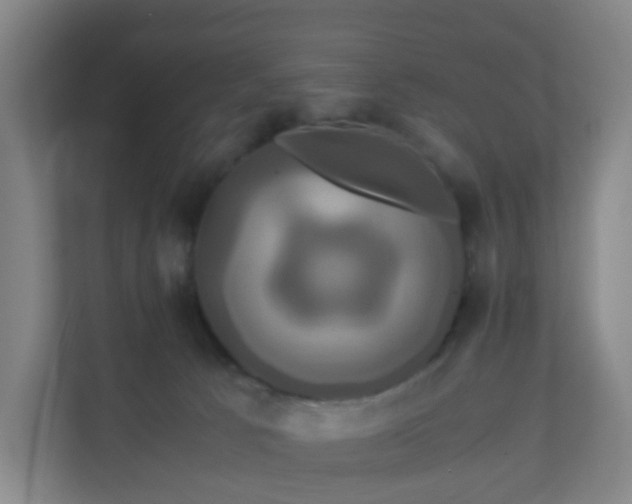 X0000110990033200906261458