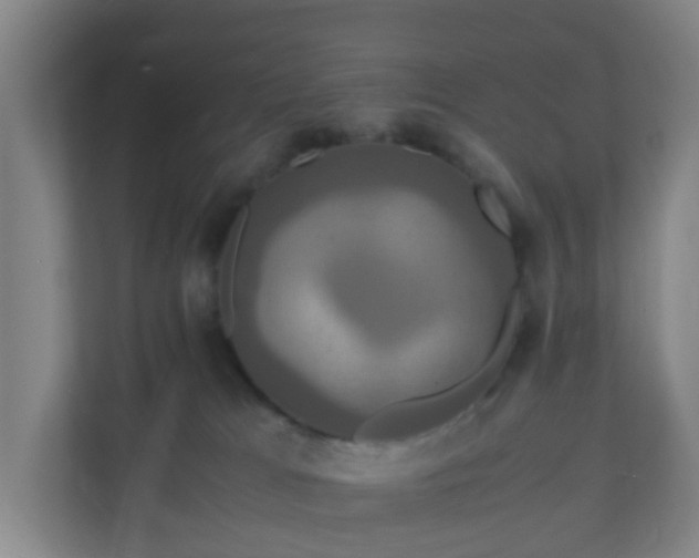 X0000110990037200906261458