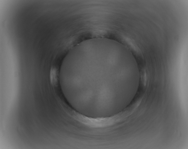 X0000110990038200906261458