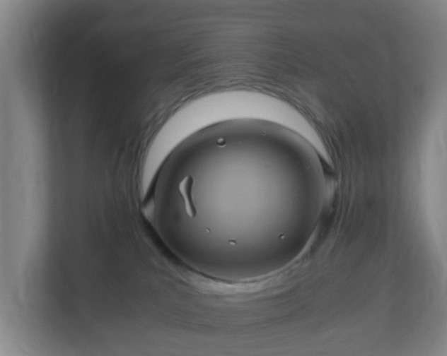 X0000110990039200906261458