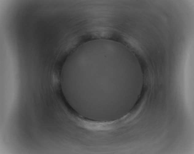 X0000110990040200906261458