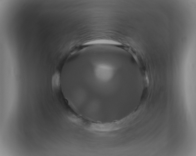 X0000110990041200906261458