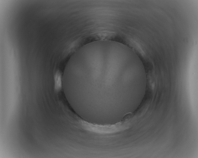 X0000110990042200906261458