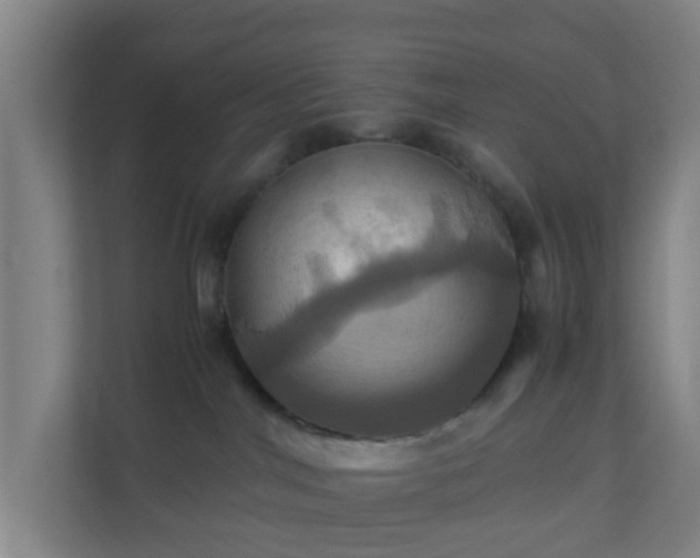 X0000110990044200906261458