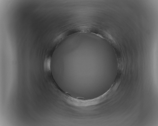 X0000110990047200906261458