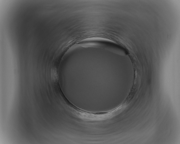 X0000110990048200906261458